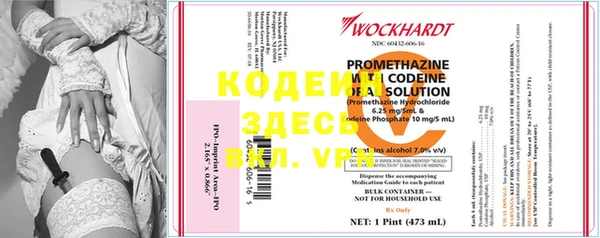 СК Каменногорск
