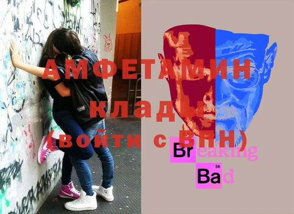 СК Каменногорск