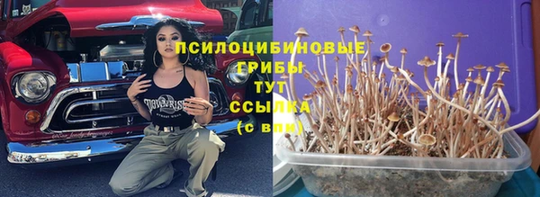 СК Каменногорск