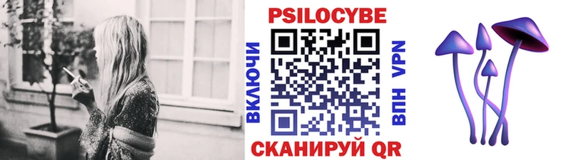 что такое наркотик  Оренбург  гидра зеркало  Псилоцибиновые грибы Psilocybe 